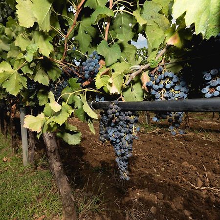 فندق Antico Borgo Molino 7Cento Vicino Ai Giardini Di Ninfa Cori المظهر الخارجي الصورة