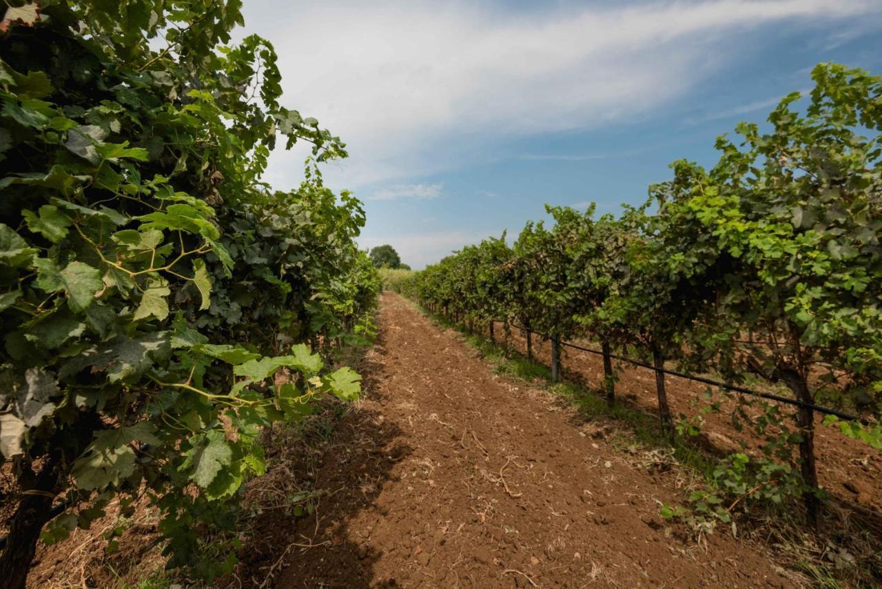 فندق Antico Borgo Molino 7Cento Vicino Ai Giardini Di Ninfa Cori المظهر الخارجي الصورة