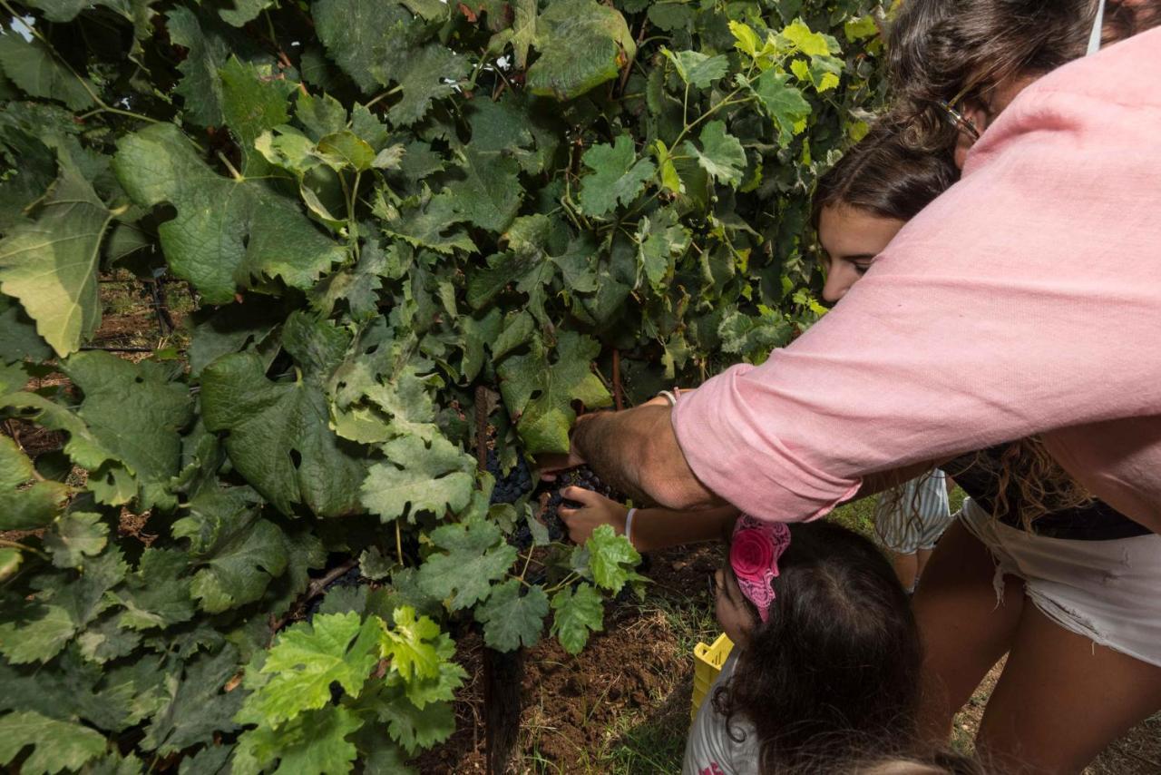 فندق Antico Borgo Molino 7Cento Vicino Ai Giardini Di Ninfa Cori المظهر الخارجي الصورة